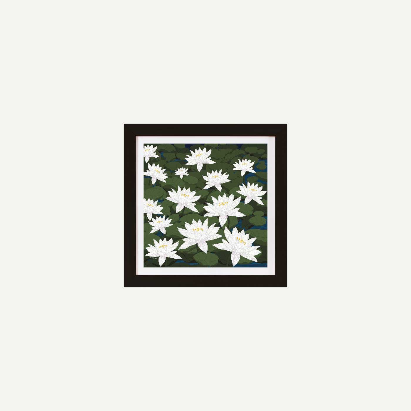 Water Lily