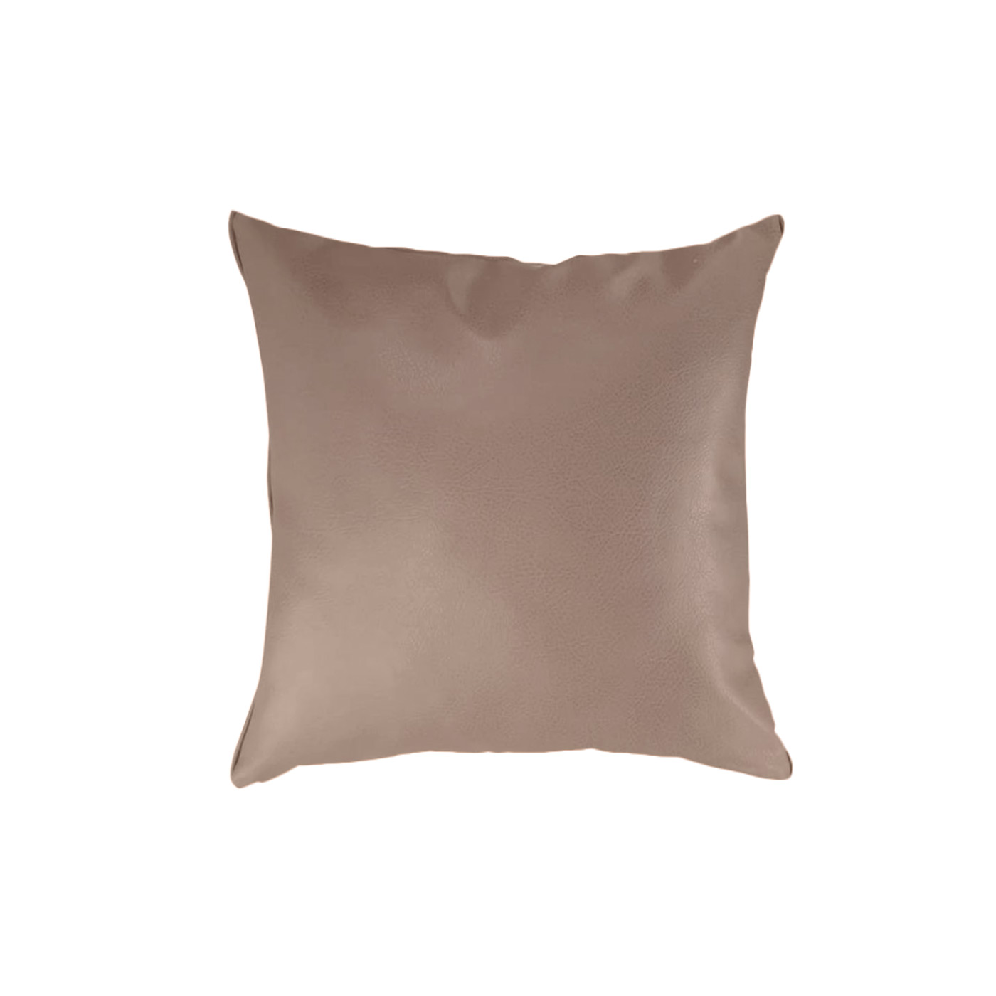 Elliot Faux Leather Cushion