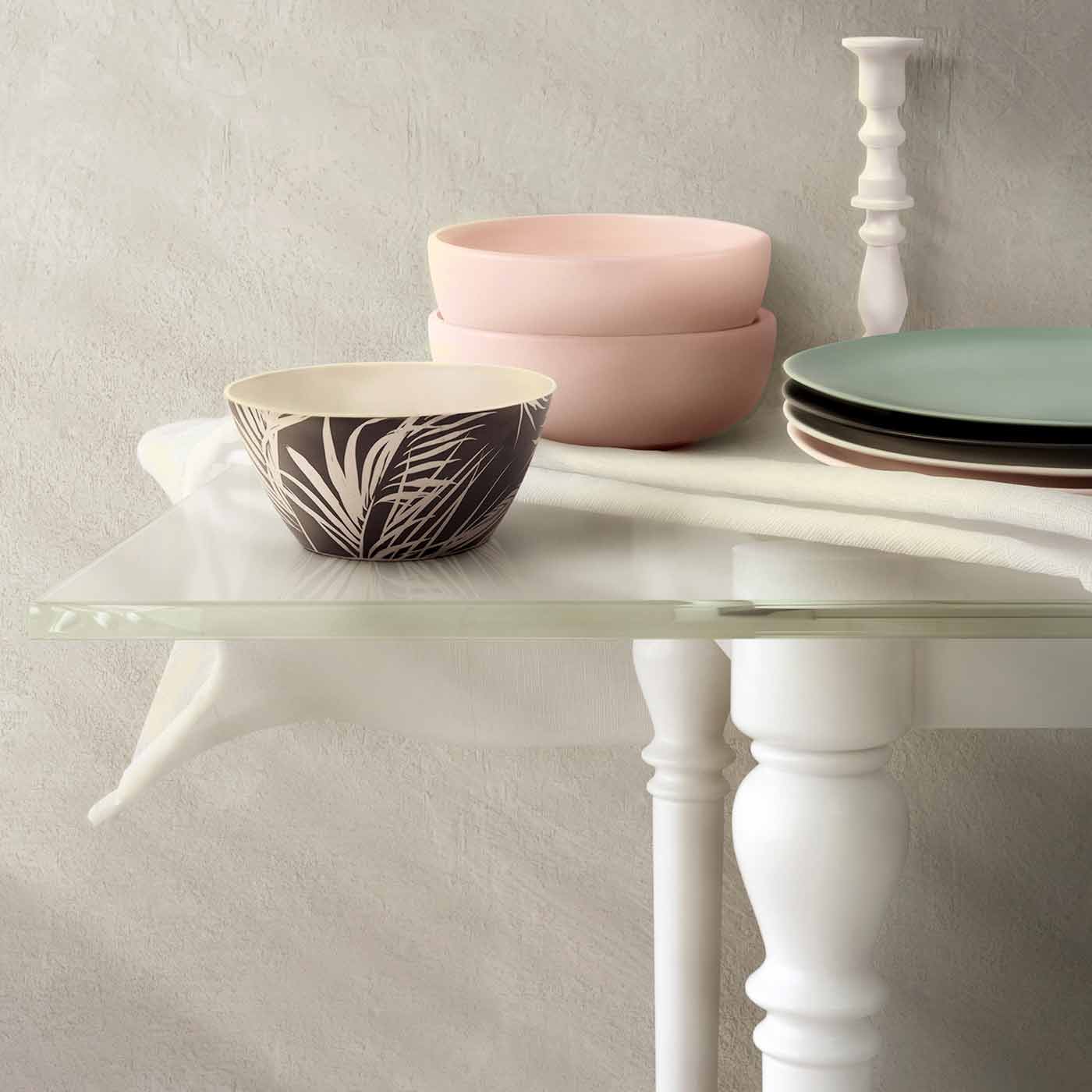 Ceramic Dinner Plates