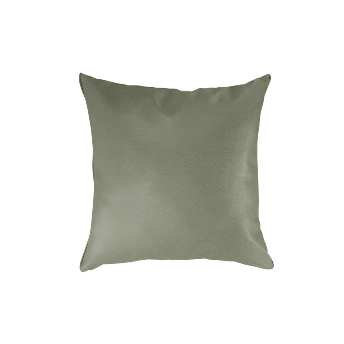 Elliot Faux Leather Cushion