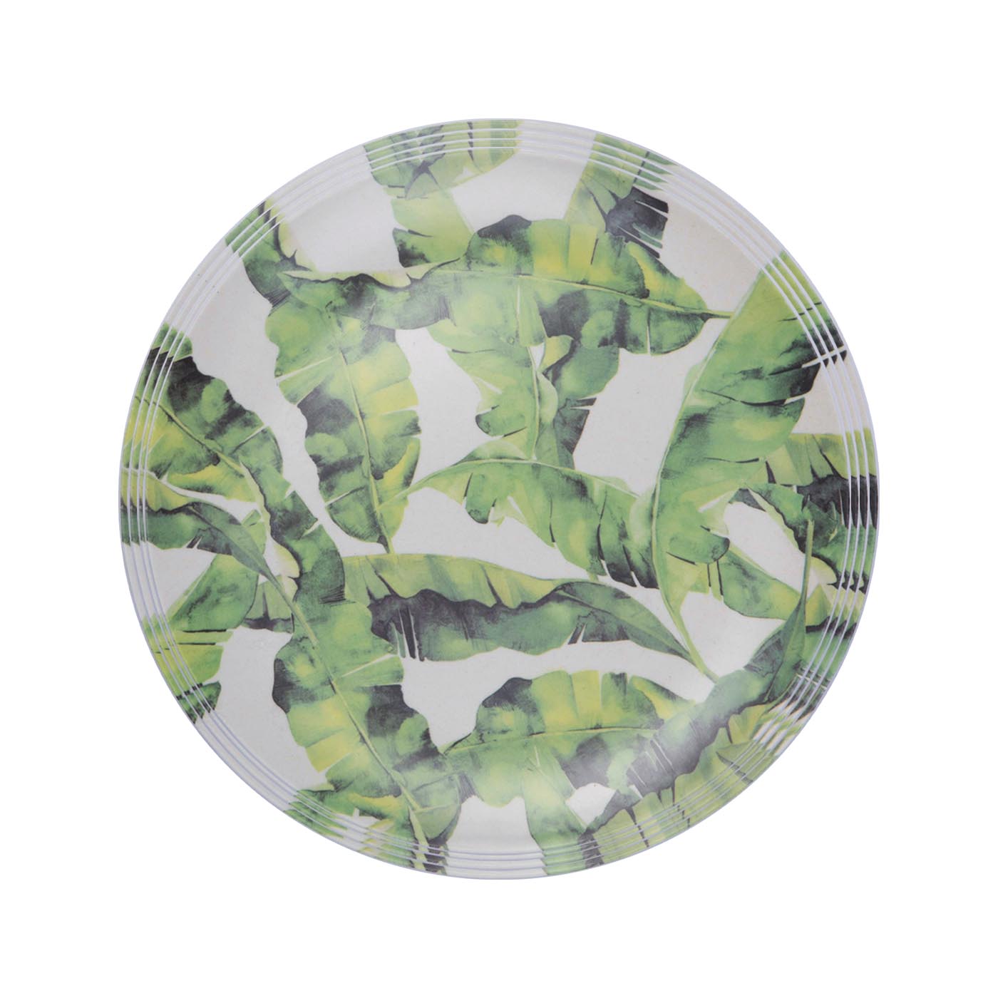 Eco- Friendly Plate