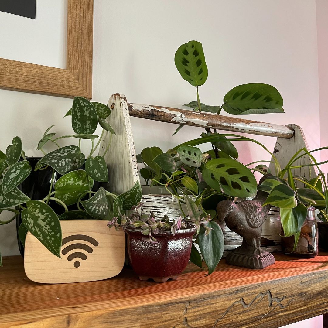Okos Wifi Porter NFC