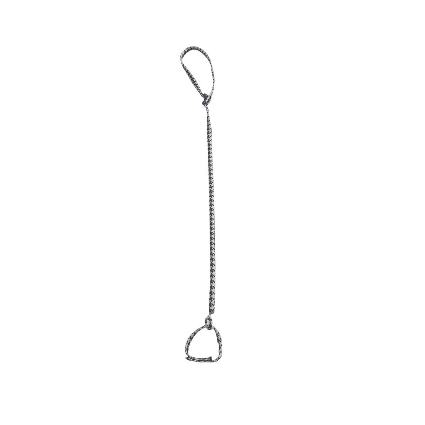 Lorum  Pet Leash