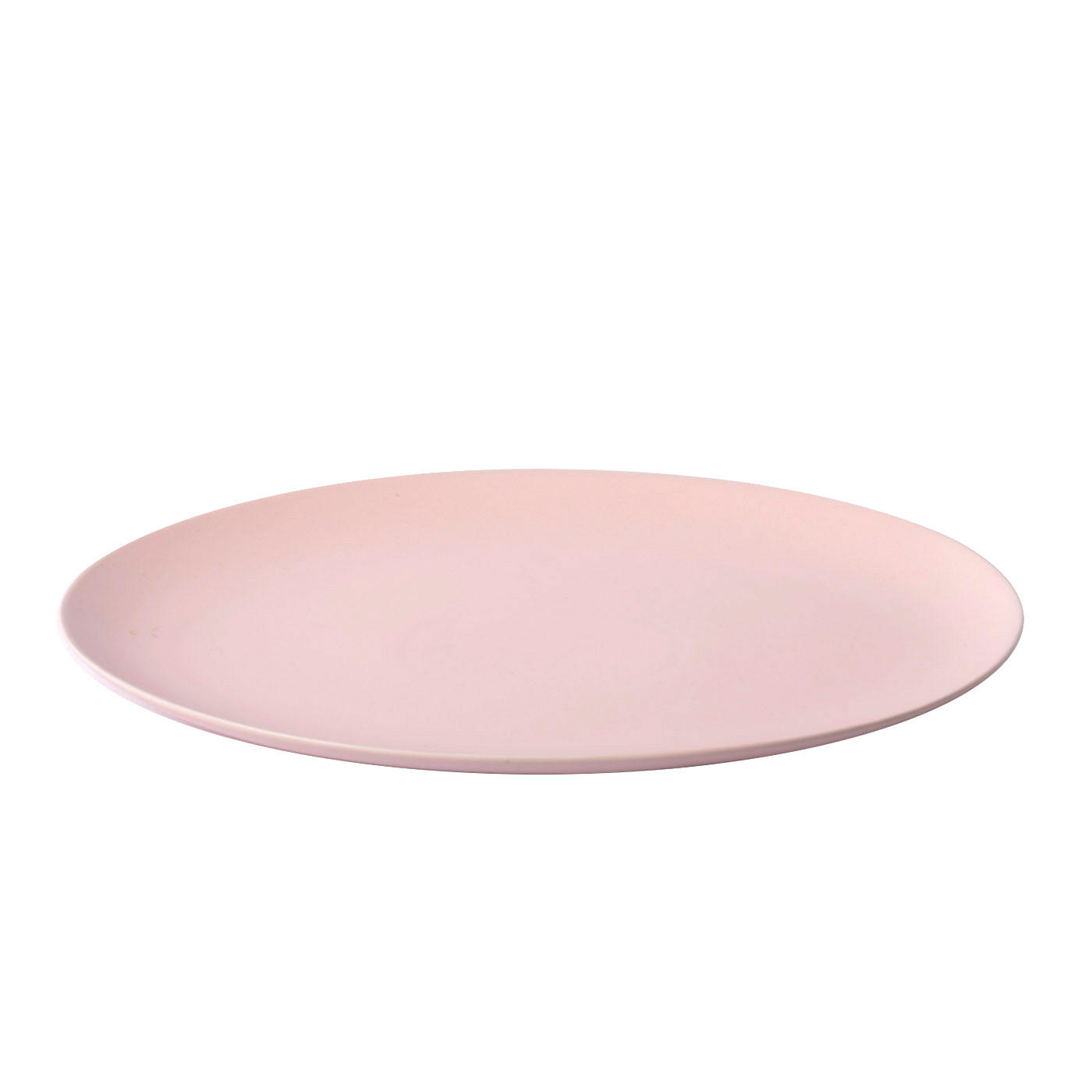 Ceramic Dinner Plates
