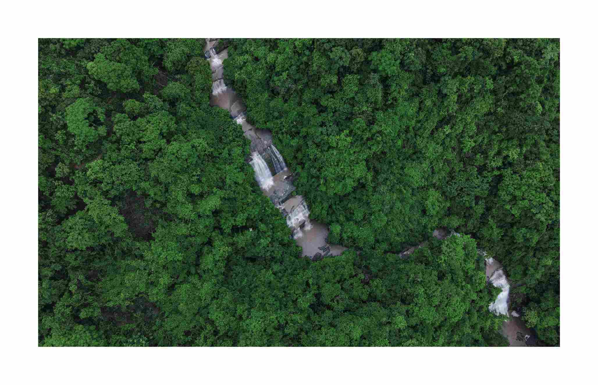 Falls in Lush Greenery