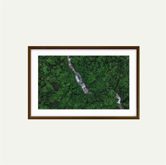 Falls in Lush Greenery