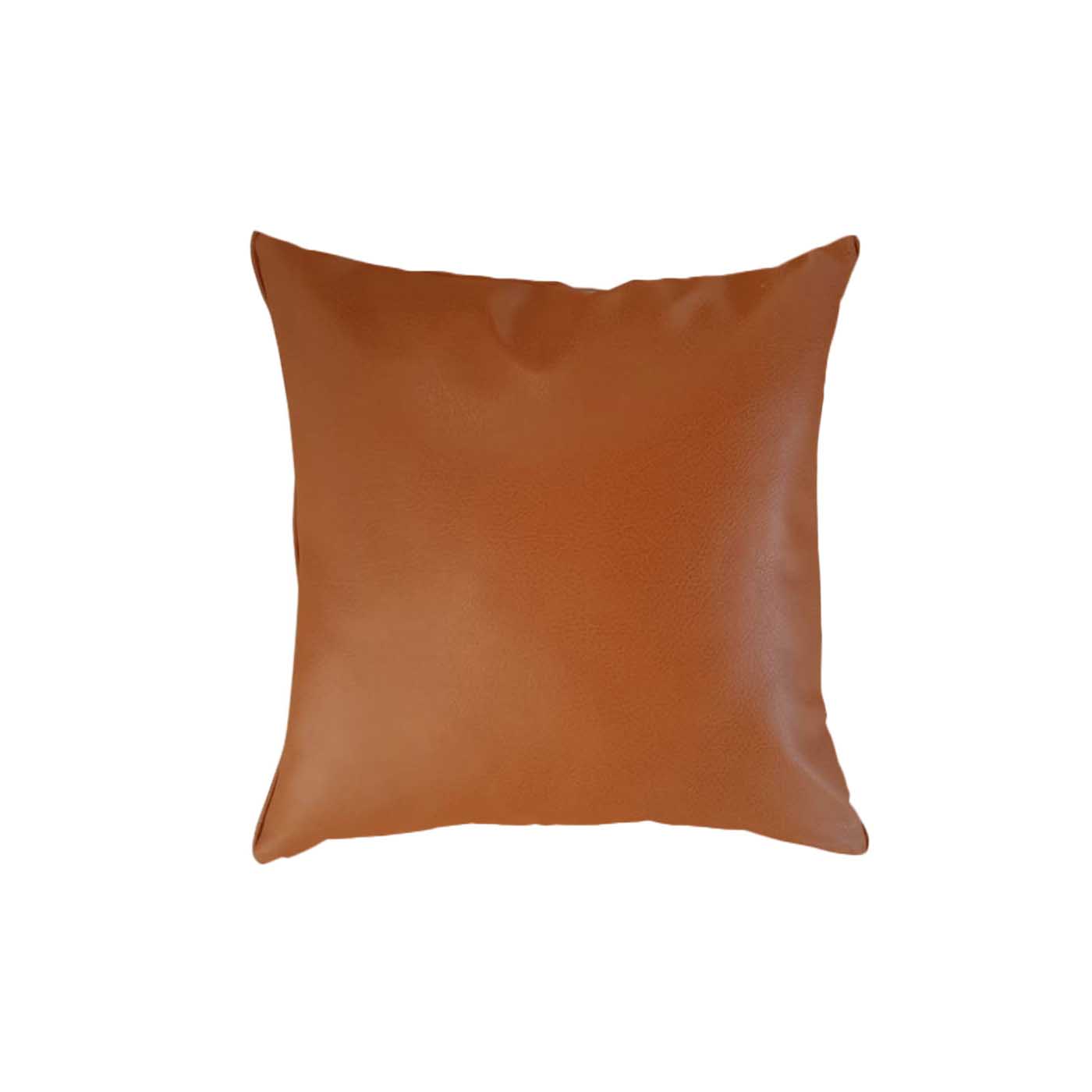 Elliot Faux Leather Cushion